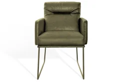 Armlehnstuhl D-light Leder grün