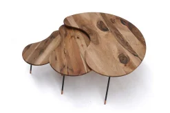 Couchtisch Kidney massiv Nussbaum