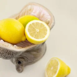 Dekoschale Hippo grau