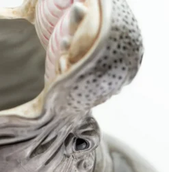 Dekovase Hungry Hippo grau XL