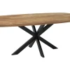 Esstisch Evo Teak natur B 260 cm