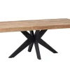 Esstisch Newton Teak natur B 220 cm