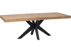 Esstisch Newton Teak natur B 260 cm