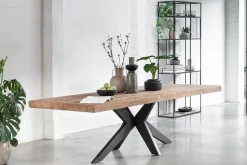Esstisch Newton Teak natur B 260 cm