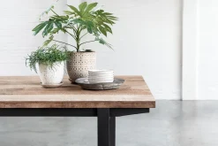 Esstisch Odeon Teak natur B 175 cm