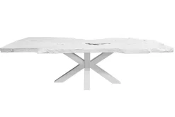 Esstisch UNIKAT Nussbaum whi275x120cm