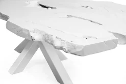 Esstisch UNIKAT Nussbaum whi275x120cm