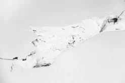 Esstisch UNIKAT Nussbaum whi275x120cm