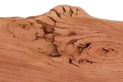 Tischplatte Mango Massivholz Monolith 170 cm