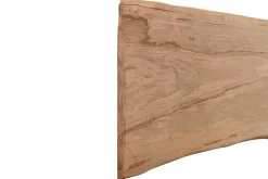 Tischplatte Mango Massivholz Monolith 346