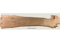 Tischplatte Mango Massivholz Monolith 404