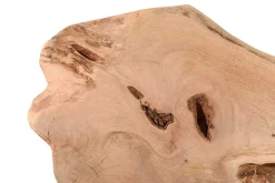 Tischplatte Mango Massivholz Monolith 100 cm