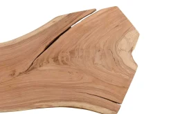 Tischplatte Mango Massivholz Monolith 300