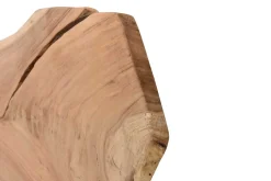 Tischplatte Mango Massivholz Monolith 300