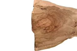 Tischplatte Mango Massivholz Monolith 306