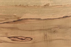 Tischplatte Mangoholz Monolith 160x90 cm