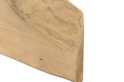 Tischplatte Mangoholz Monolith 97x68 cm