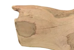 Tischplatte Mangoholz Monolith 287x110 cm