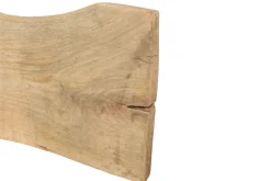 Tischplatte Mangoholz Monolith 340x112 cm