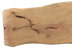 Tischplatte Mangoholz Monolith 351x90 cm