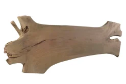 Tischplatte Monolith Mangoholz 360 cm