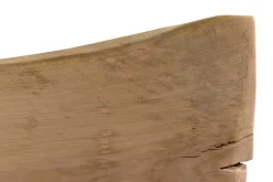 Tischplatte Monolith Mangoholz 340cm