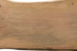 Tischplatte Monolith Mangoholz 350x108cm
