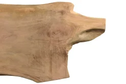 Tischplatte Monolith Mangoholz 350x108cm